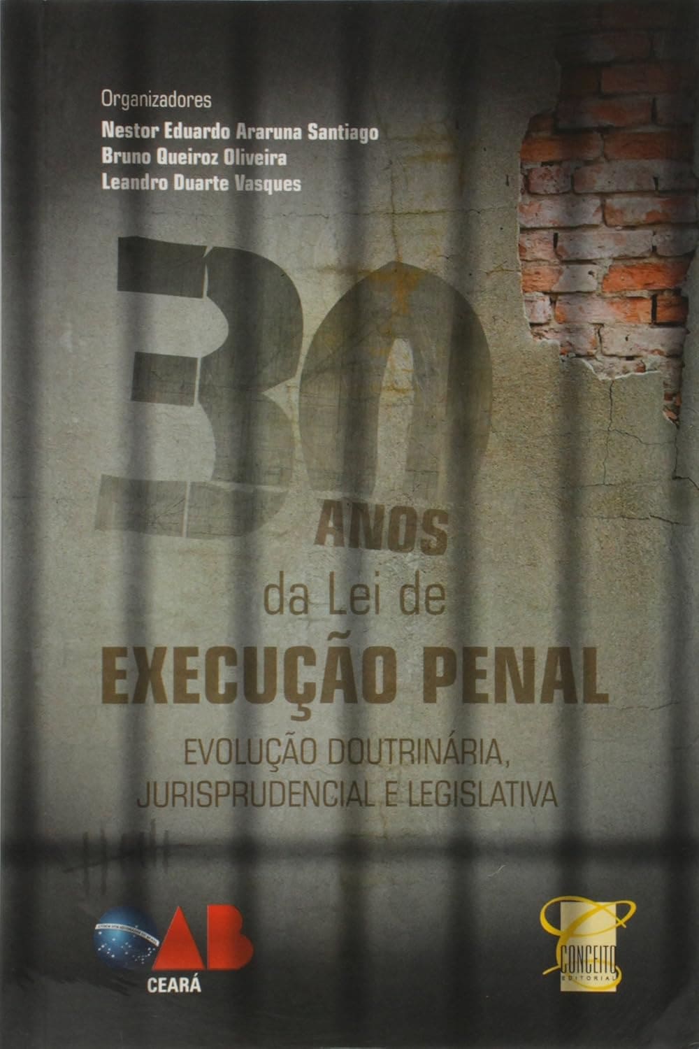 30 Anos da Lei de Execução Penal. Evolução Doutrinária, Jurisprudencial e Legislativa Capa comum 1 janeiro 2014