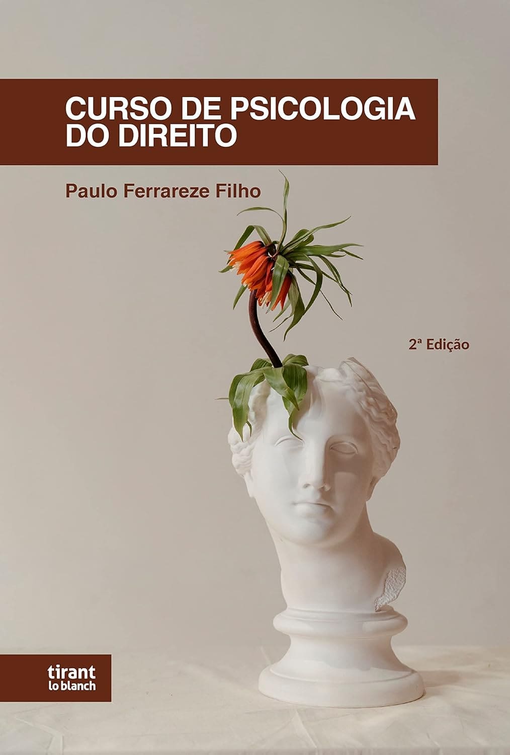 Curso de Psicologia do Direito Capa comum 28 março 2022