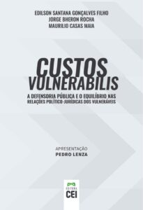 Custos Vulnerabilis: A Defensoria Pública e o equilíbrio nas relações político-jurídicas dos vulneráveis Capa dura 1 janeiro 2019