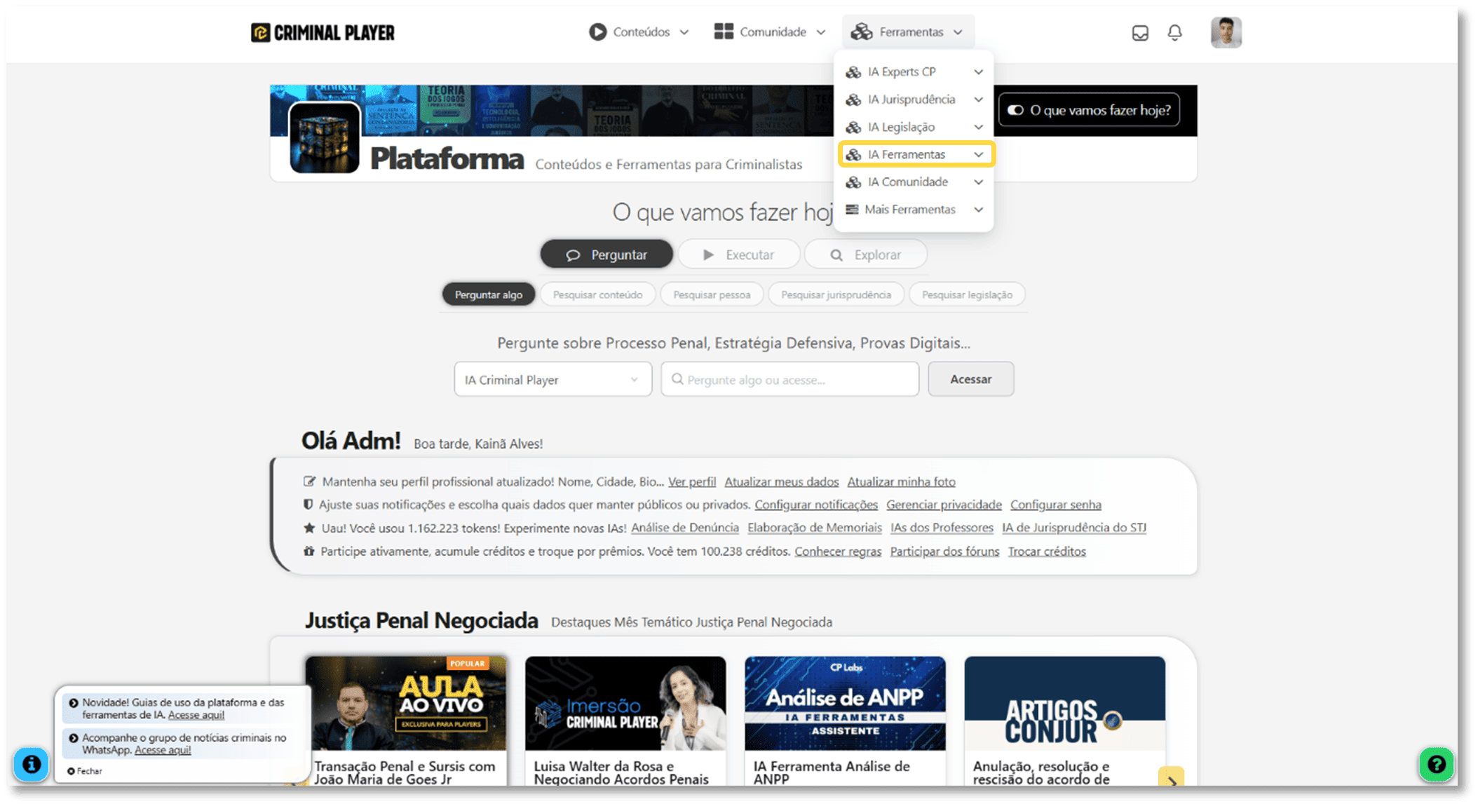 Print da página da ferramenta com destaque no botão Executar ferramenta!