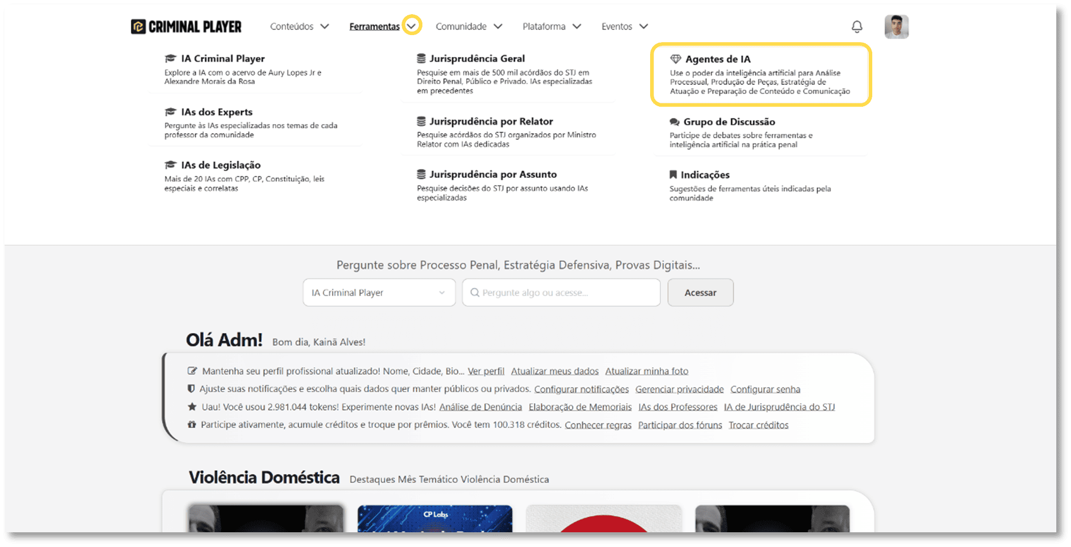 Print da página da ferramenta com destaque no botão de acesso
