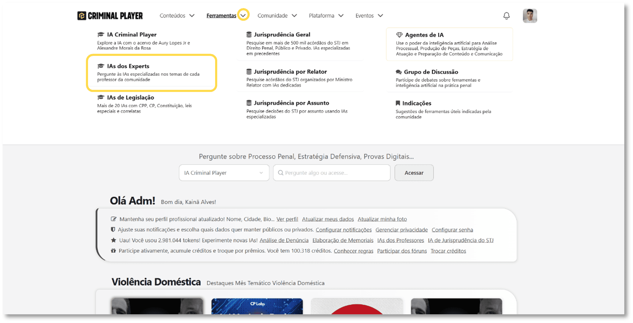 Página da IA do Expert com destaque no botão Executar ferramenta