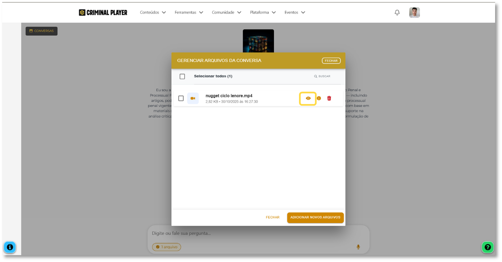 Visualização da transcrição por segmentos e texto completo
