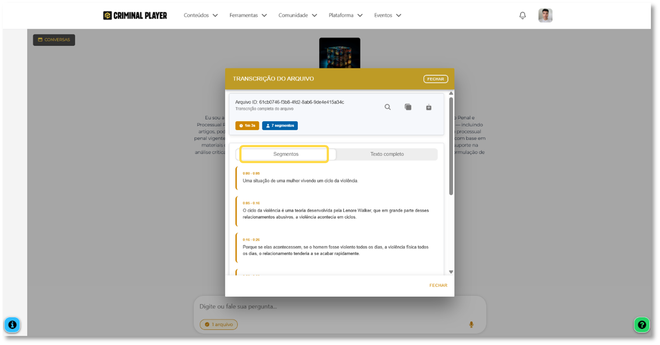 Visualização da transcrição por segmentos