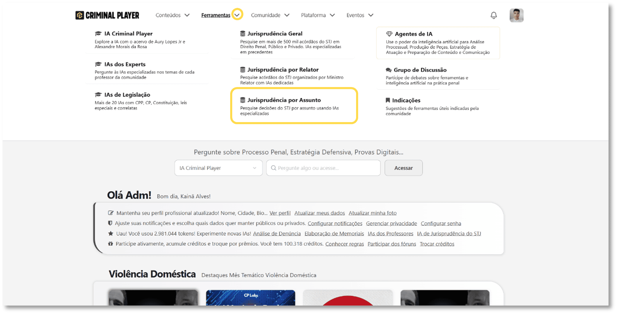 Página da ferramenta com destaque no botão Executar ferramenta!