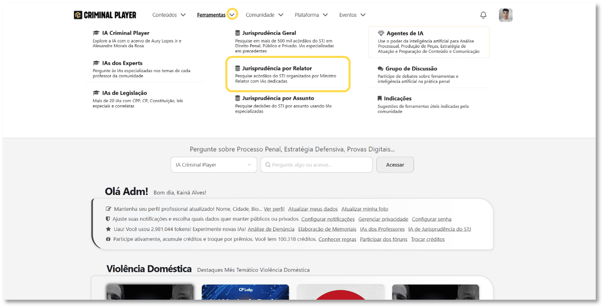 Página da ferramenta com destaque no botão Executar ferramenta e nome do relator em foco