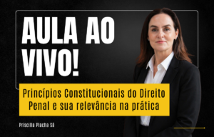 Princípios Constitucionais do Direito Penal e sua relevância na prática com Priscilla Placha Sá