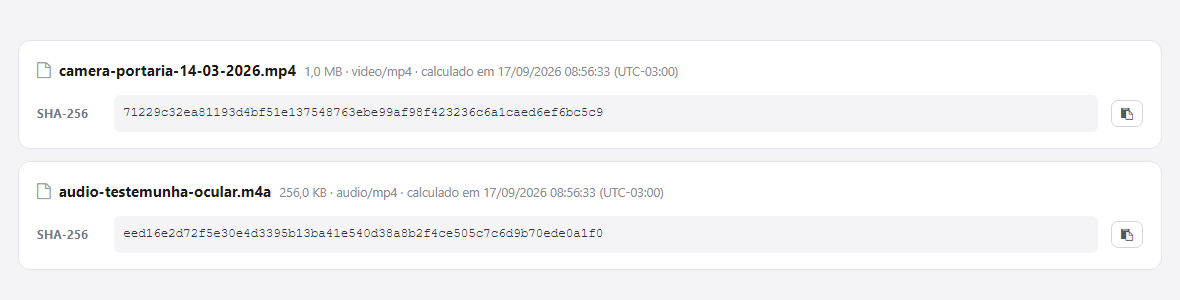 Resultado do cálculo: dois arquivos com nome, tamanho, data e hora da leitura e o código SHA-256 de cada um, com o botão de adicionar ao dossiê